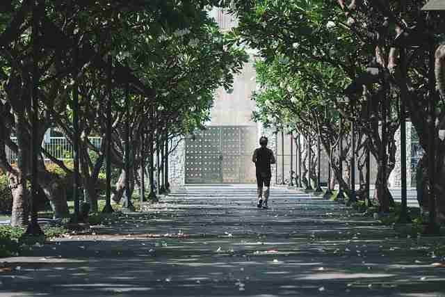 粉丝必藏：海角社区app下载热门活动沉浸版
